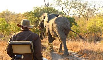 5- Day Luxury Savanah Game Lodge & Sabi Sand Private Safari Tour Package.