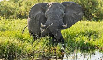 5- Day Luxury Savanah Game Lodge & Sabi Sand Private Safari Tour Package.