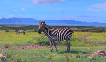 Customized Southern Tanzania Safaris, Daily Departure & Private Trip Tour