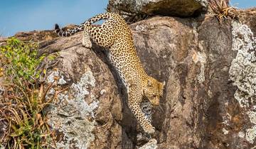 Safaris personnalisés de 11 jours dans le sud de la Tanzanie, départ quotidien et voyage privé