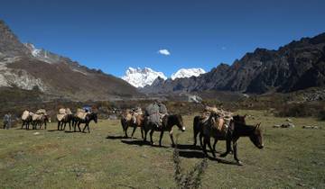Wonders of Bhutan With 3-Day Gangtey Nature Trek Tour