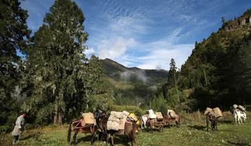 Bhutan Jomolhari Trek From Paro To Thimphu Via Lingzhi