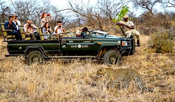 Tailor-Made 2-Week Private South Africa Vacation, Daily Departure Tour