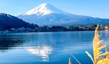 3 Weeks Tailor-Made Japan Vacation, Private & Daily Start Tour