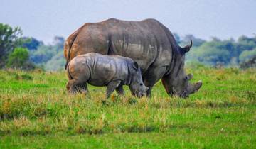 Tailor-Made 14 Days Kenya Wildlife Adventure, Daily Departure & Private Tour