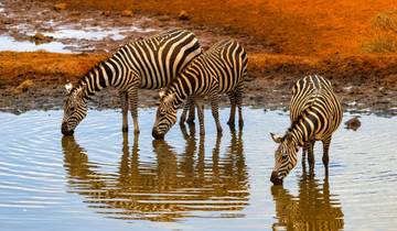 Wildlife-safari in Kenia – een privéreis op maat – vertrekt dagelijks – 10 dagen-rondreis