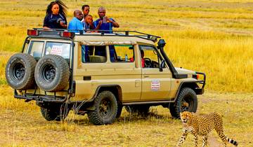 Customized Private Kenya Trip of Masai Mara Wildebeest Migration, Daily Departure Tour