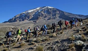 Mount Kilimanjaro Trekking Day Trip