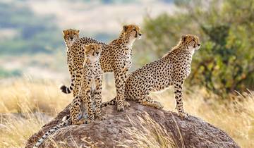 Tailor-Made Private Kenya Safari & Beach Holiday, Daily Departure Tour