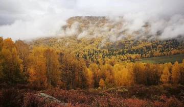 Amazing Northern Xinjiang 8-Day Tour: Urumqi, Tianchi, Hemu, Kanas, Ghost City, Dushanzi Canyon