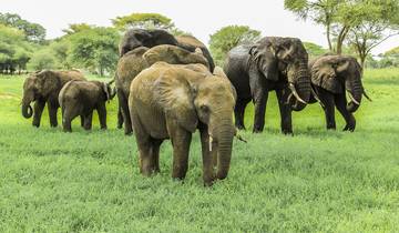 2 Days Tarangire & Ngorongoro Crater Safari Tour