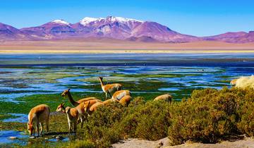 Tailor-Made Adventure to Atacama Desert with Private Guide and Driver