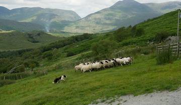 Le goût de l'Irlande en autotour - 7 jours/6 nuits