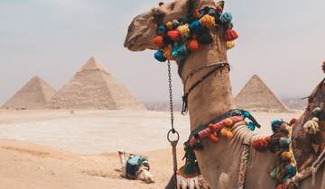\"TUT Honey Moon Tour\" 8 Days from Cairo (Cairo, Luxor Nile Cruise, Aswan, Abu Simbel, Hot Air Balloon & More....) Tour