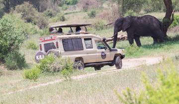 3 Days Tanzania Wildlife Safari in True Style