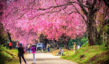 Chiang Mai City Package