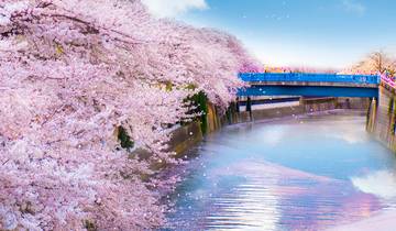 7 Days Essence of Spring Tour - Cherry Blossom Seasonal Tour from Kyoto (Osaka) 2024 Tour