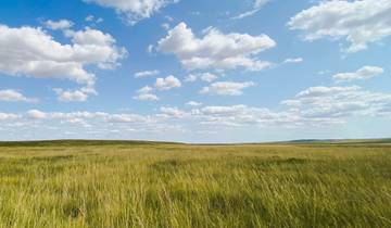 Circuit de 6 jours en Mongolie intérieure : Prairies, désert, Ordos, Baotou, Hohhot