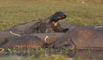 Victoria Falls et; Chobe Adventure 4J/3N - de Victoria Falls