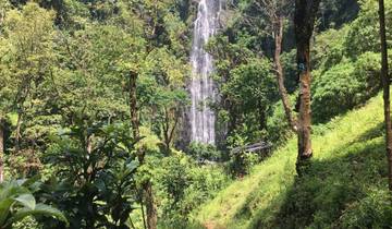 Visite à pied de la cascade de Themi et visite du café à Arusha - excursion d\'une journée circuit