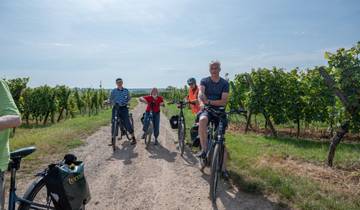 Toskana & Elba | Italien | Geführte E-bike Reise Rundreise