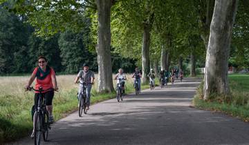 Alsace on E-bikes guided cycling tour Tour