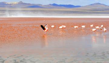 Tailor-Made 7-Day Bolivia Adventure, Daily Departure & Private Guide Tour