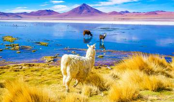 7 Day Bolivia Itinerary, incl. La Paz and Uyuni Salt Flats
