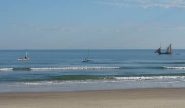 3 Day Morondava Itinerary, incl. Baobab Avenue and Kirindy Forest