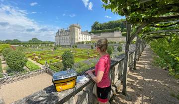Loire Cycle Path: Wild-romantic all the way to the sea  (from Tours to St-Nazaire) Tour