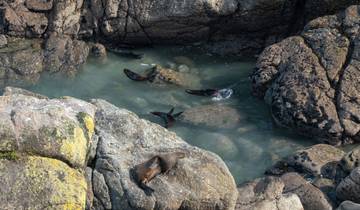 7 Days in New Zealand's South Island, incl. Christchurch and Queenstown
