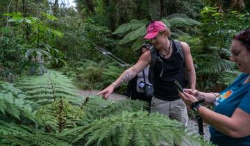 7 Days in New Zealand's South Island, incl. Christchurch and Queenstown