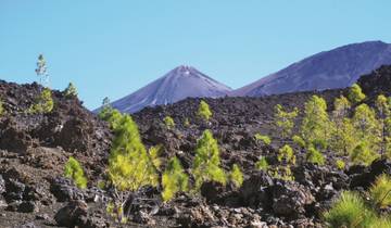 Hiking in Northern Tenerife Tour