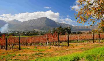 Afrique du Sud : le voyage détaillé sur la Garden Route