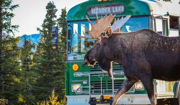 Alaska & Yukon: Höhepunkte