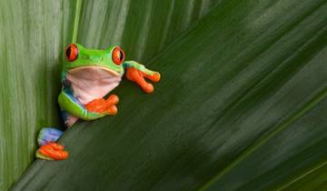 Costa Rica: Mit Flair