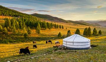 Customized 2 Weeks Mongolia Vacation with Private Guide and Driver Tour