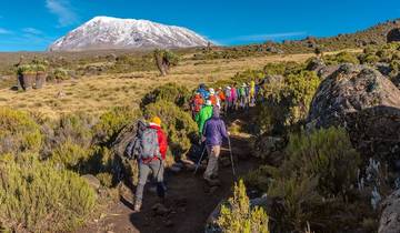 Marangu Route, Gold Level Premium Climb (On Request) Tour