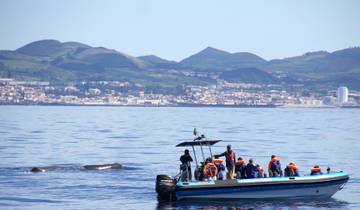 7 Day São Miguel Island Itinerary, incl. Ponta Delgada and Furnas