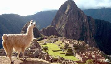 Inca & Amazon Adventure (4 Star Hotels) Tour