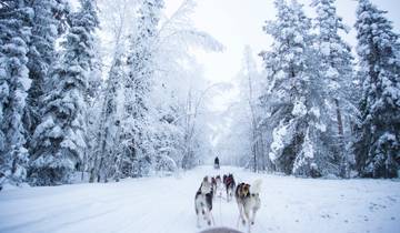 Tailor-Made Private Finland Tour to Fairy Tale Lapland Tour