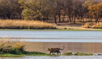 Ranthambore Wildlife Extension