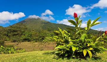 Fantasy on Beaches and Volcanoes