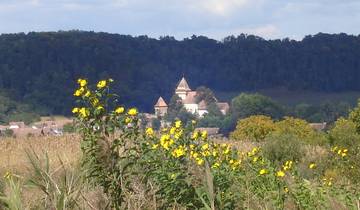 Self Guided Bicycle Tour in Transylvania Tour