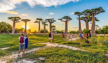 Baobab & Tsingy Family Safaris, Personalized & Daily Start Tour