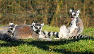 7 Day Madagascar Itinerary, incl. Antananarivo and Morondava