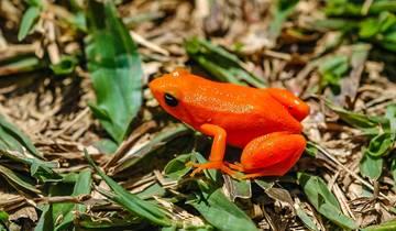 7 Day Madagascar Itinerary, incl. Antananarivo and Morondava