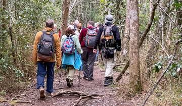 7 Day Madagascar Itinerary, incl. Antananarivo and Morondava