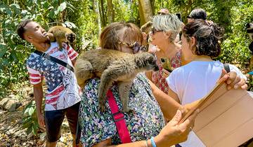 7 Day Madagascar Itinerary, incl. Antananarivo and Morondava
