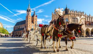 Discovering Poland Warsaw, Gdansk, Wroclaw & Kraków (Warsaw to Krakow) (2023) Tour